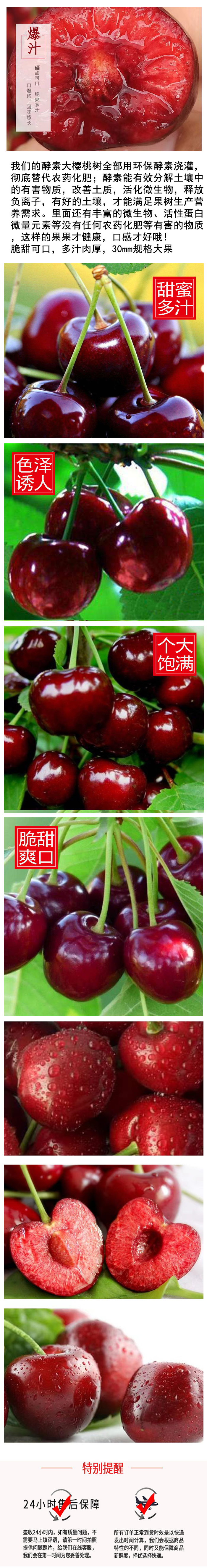 确定主图.png