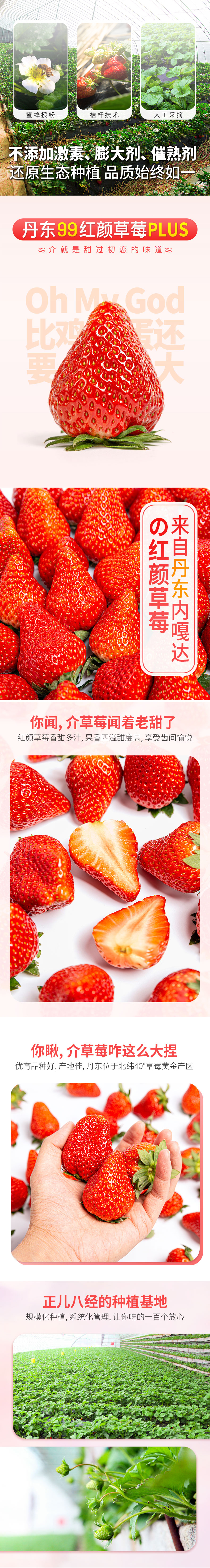 丹东草莓.jpg